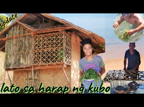 Ep53:Paggawa ng decorative na kawayan sa kubo( pangunguha .